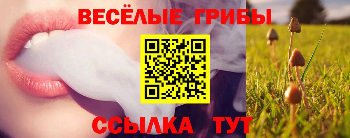 Таганрог  Псилоцибиновые грибы прущие грибы  Вход с VPN  Галлюциногенные грибы GOLDEN TEACHER 